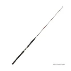 Canne Spinning Mer Daiwa Saltist Travel 2020 (553 HS)