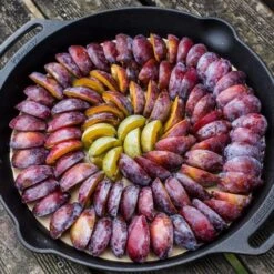 Petromax FP25H Poêle Avec Poignées -Petromax Soldes Boutique petromax fp25h poele avec poignees 3