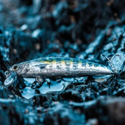 Poisson Nageur SAXTON 75 F BONITO Pêche Au Leurre En Mer -Petromax Soldes Boutique poisson nageur saxton 75 f bonito peche au leurre en mer 4