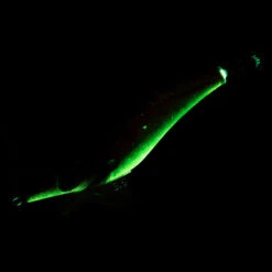 Turlutte Coulante Shallow EBIKA 3.5/135 Doré Chinchard Pêche Seiches/calamars 9 Turlutte Coulante Shallow EBIKA 3.5/135 Doré Chinchard Pêche Seiches/calamars -Petromax Soldes Boutique turlutte coulante shallow ebika 35135 dore chinchard peche seichescalamars 4